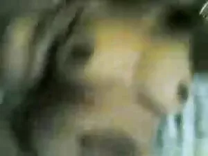 हापोना 0022 - = fd19 ...