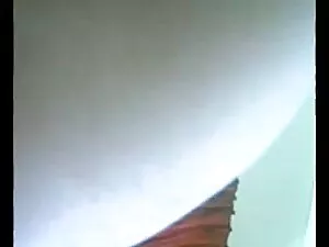 संचिका कौगर मोज़ा और ...