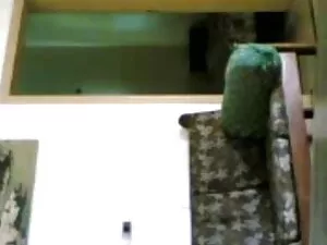 खिलौना भरवां गधे ड्र ...