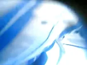 एलेक्सिस फुल हिंदी स ...