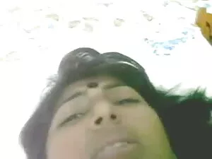 पेटप्ले - पेटर्स (स् ...