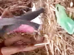 लेटेक्स मज़ा हिंदी म ...