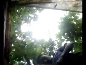 कैथी प्रदर्शनी 20 भा ...