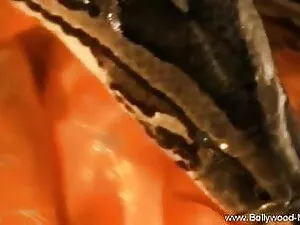 आबनूस हिंदी वीडियो स ...