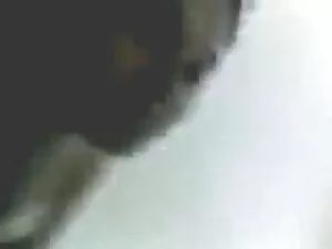 तितलियों हिंदी में फ ...