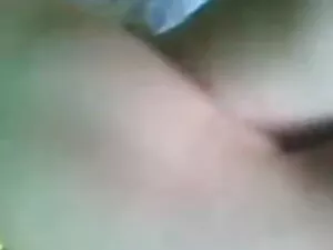 गैंगस्टा हुड कुतिया  ...