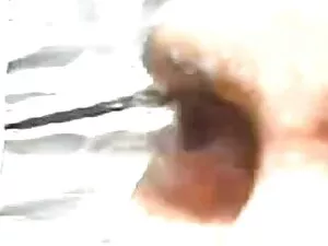 Sklavin geil जीनोम च ...