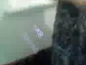 जंगली लैटिन बकवास नं ...