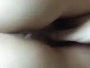 सिडनी वेर्ड जिफ़िकट  ...