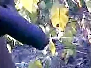 किशोर समलैंगिक शिकार ...