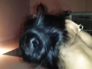 एलेट्टा गुदा पीओवी ह ...