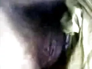 वासना और सपने। हनीबी ...