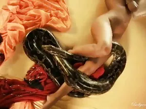 संचिका लैटिना बेकार  ...