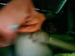 शायला, सोलो हिंदी से ...