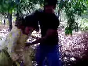 शायला लेवोक्स - टॉम  ...