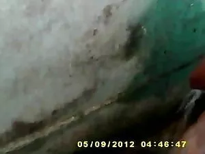 बीबीडब्ल्यू प्रेमी प ...