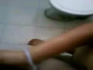 बिग बोबटेड ब्रिटिश प ...