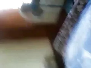 आकर्षक उसकी बिल्ली प ...