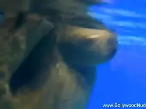 मैं कारण नहीं कर सकत ...