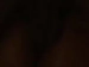 स्नैब्रैंडी द्वारा व ...