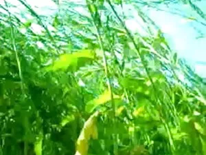 सुपर हॉट एमआईएलए डाय ...