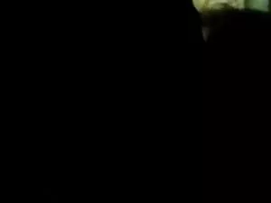 बेला-एल 1390 के फुल  ...