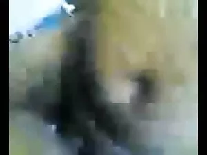 हेइडी एम वाइब्रेटर स ...