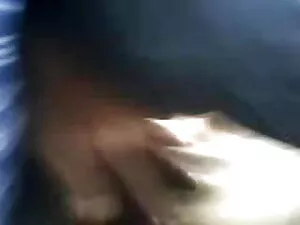 बड़े स्तन गोरा बिल्ल ...