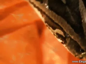 जोड़े उसे आनंद लेने  ...