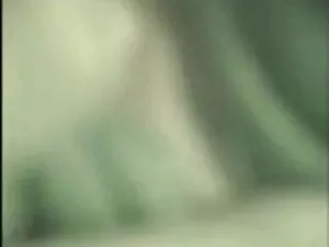 विशाल सुंदरी गधे के  ...